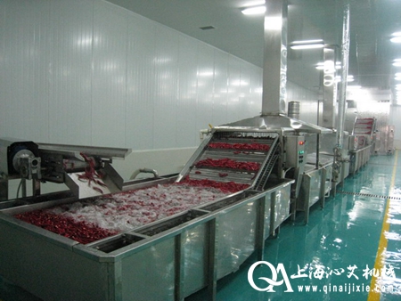 水果氣泡清洗機 水果氣泡清洗機