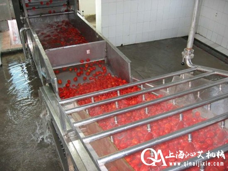 水果氣泡清洗機 水果氣泡清洗機