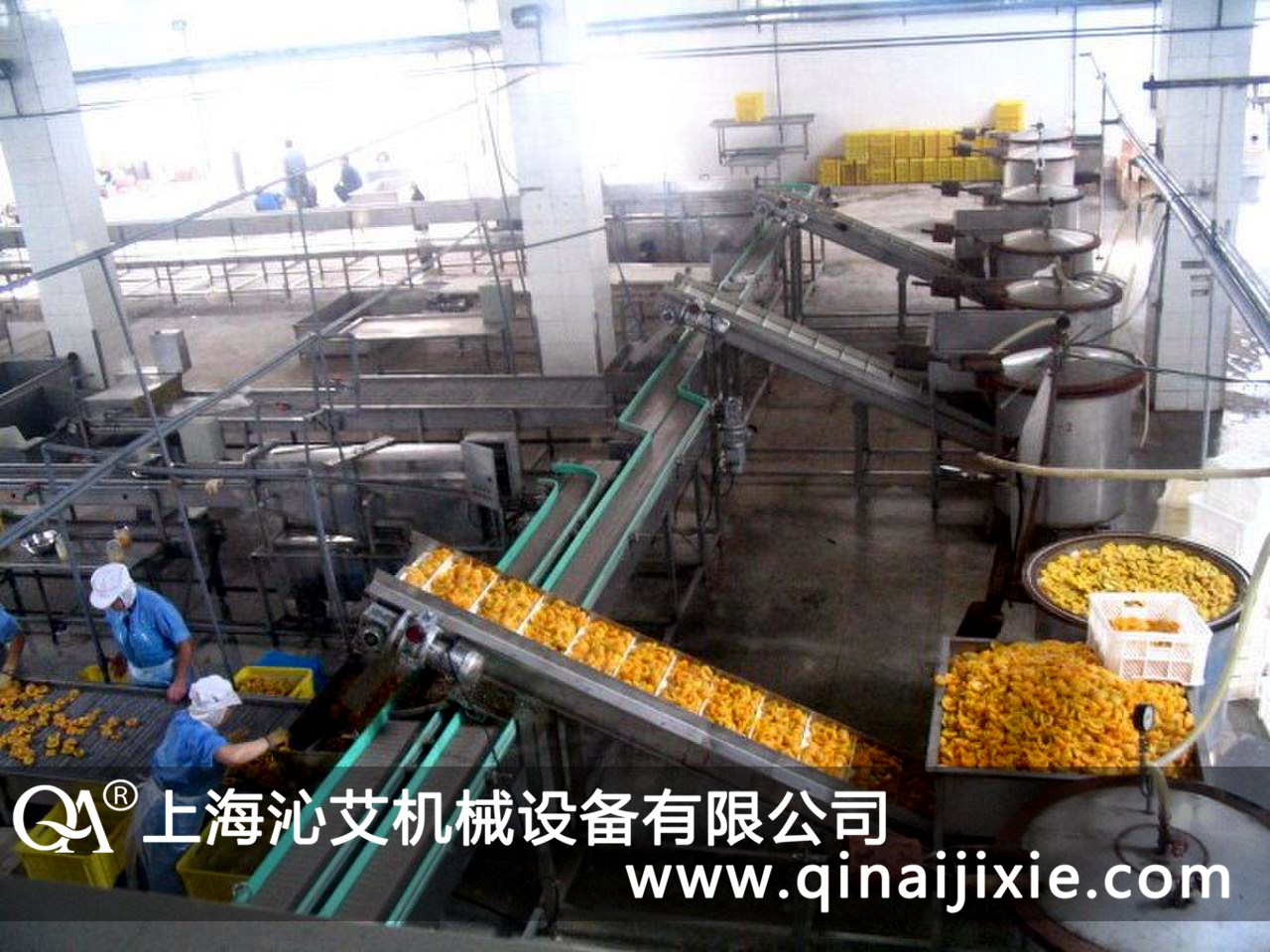 塑鋼鏈板輸送機在黃桃罐頭食品企業得到客戶的認可 塑鋼鏈板輸送機在黃桃罐頭食品企業得到客戶的認可