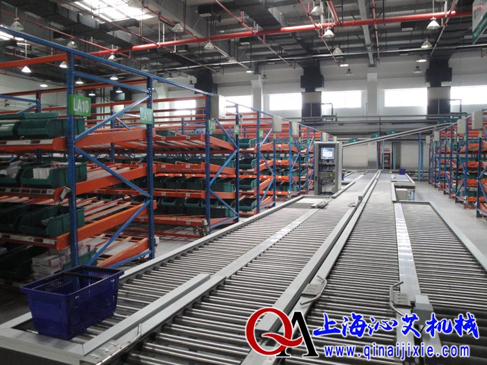 鏈條式頂升移載輸送機  鏈條式頂升移載輸送機