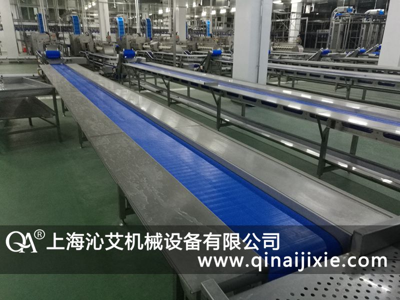 輕型皮帶輸送機 輕型皮帶輸送機